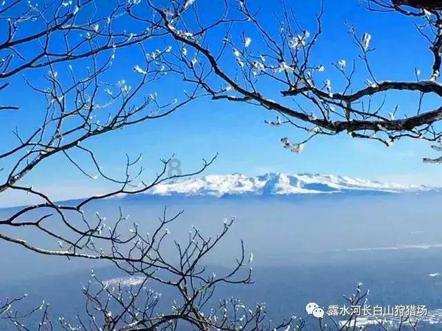 秋冬感冒咳嗽多发,就吃这12种水果